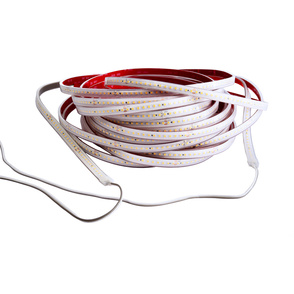 LED Stripes ab IP44 bei Elektrotechnik Benjamin Gottschalck in Mözen
